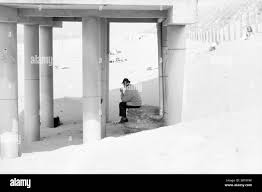 Image result for Bright White 1991 Shadow