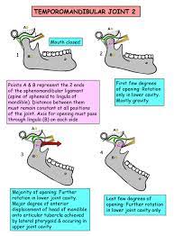 Instant Anatomy Head And Neck Joints Temporomandibular Joint 2 Dental Hygiene Student Dental Hygiene School Temporomandibular Joint