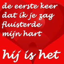 Mooie Liefdes Plaatjes De Eerste Keer Dat Ik Je Zag Fluisterde Mijn Hart Hij Is Het Cute Love Quotes Ware Liefde Gedichten Liefdeswoorden