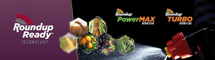 Want to convert dry time to different time zone? Roundup Technology