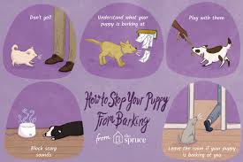 Check spelling or type a new query. 10 Ways To Help Stop A Puppy Dog From Barking