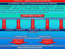 Profu Economist Patrimoniul Obiect Al ContabilitÄƒÈ›ii DefiniÈ›ie È™i Economist School Bar Chart