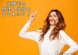 光脱毛(フラッシュ脱毛)脱毛の原理と仕組みについて – 浜田山脱毛MISUMI