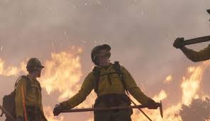 When becoming members of the site, you could use the full range of functions and enjoy the most exciting films. Only The Brave Is The Movie Firefighters Deserve Hollywood In Toto