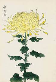 Chrysanthemum Flowers By Keika Hasegawa Japanese Woodblock Printing Japanese Vintage Art Chrysanthemum