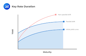 Term Structure And Interest Rate Risk Cfa Level 1 Analystprep