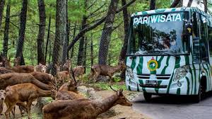 Foto taman yg unik buat sekolahan sd. 10 Wisata Edukasi Di Bogor Yang Wajib Di Kunjungi Tempatwisataunik Com