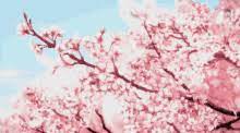 Sakura trees has always been that aspect of animes that we seen a lot. Anime Cherry Blossom Tree Gifs Tenor