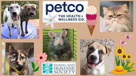 Petco Offsite Adoption Event