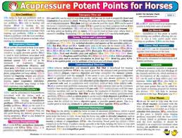 Horse Identification Chart Woofs Hoofs Animal Massage