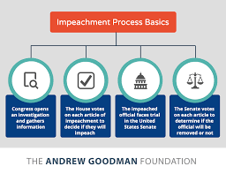 The impeachment of a senior official is the process of charging them with a crime which. Civics For Citizens Everything You Need To Know About Impeachment Andrew Goodman Foundation Andrew Goodman Foundation