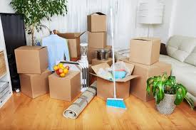 move in cleaning