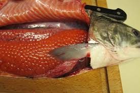 Salmon roe is one of my favorite foods (and my husband and son share my love of those beautiful translucent little orange balls of briny goodness). Marinating Fresh Salmon Roe Ikura May Contain Nuts