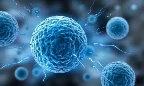 重庆渝高医药有限公司