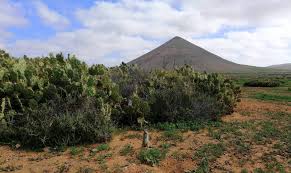 Relevant information for fuerteventura — lanzarote: Fuerteventura O Lanzarote Que Isla Es Mejor Para Visitar Viaja En Blog