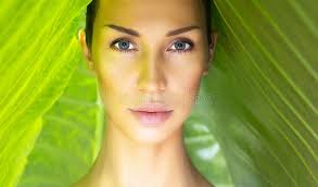 780 Woman Lea Stock Photos