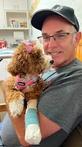 Pumpernickel's broken leg healing progress