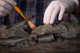 Radiocarbon dating has been around for more than 50 years and has revolutionized archaeology. New Carbon Dating Device Capable Of Delivering On Site Results Editage Insights