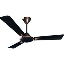 430 stainless steel for good corrosion resistance. Crompton Stainless Steel Electric Ceiling Fan Warranty 1 Year Rs 2285 Piece Id 16018133433