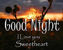 The great collection of free good night wallpapers for desktop, laptop and mobiles. Download Good Night Nature Images Photo Pic Wallpaper Hd Quality Good Morning