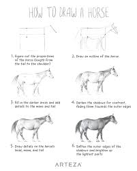 How To Draw A Horse Drawing For Beginners Animal Line Drawings Drawings