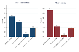 The Use Of Physiotherapy Among Patients With Subacromial Impingement Syndrome Impact Of Sex Socio Demographic And Clinical Factors