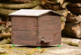 Why do bumble bees sting? Homemade Bumblebee Nests Making A Home For Bumblebees Bumble Bee Insect Hotel Bumble Bee House