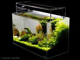 Learn how to create this aquascape yourself in this 40 minute step by step tutorial. Aquascape Tutorial Guide By James Findley The Green Machine Sticks Aquascape Planted Aquarium Aquarium Setup