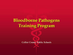 Check spelling or type a new query. Bloodborne Pathogens Training Program Ppt Download