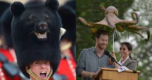 New species have been created by an enterprising artist who has merged photos of animals together in this incredible series of pictures. This Guy Can T Stop Photoshopping Animals Into The Most Random Things Twistedsifter