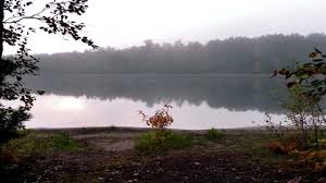 Sleep under the clearest skies you've ever seen. Firefly Lake Campground Sites 201 236 Northern Highland American Legion State Forest Youtube