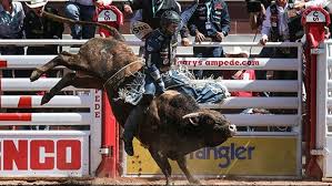 We did not find results for: Frost Wins Pool A At Calgary Stampede Davis And Vieira Advance The Professional Bull Riders