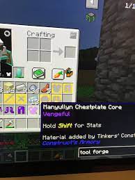 Can T Use This Armor It Doesn T Go In The Armor Spot I M On Enigmatica 2 Regular And It Is Manyulun From Tinker Feedthebeast