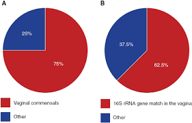 Evidence That Intra Amniotic Infections Are Often The Result