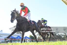 Image result for Handic 189