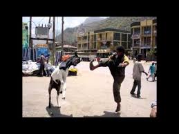 The people behind these photoshop fails, however, are neither skillful nor nefarious. Ethiopian Funny Pictures Youtube