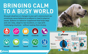 Vetoquinol Zylkene Behavior Support Capsules For Dogs Cats 225mg Calming Natural Milk Protein Supplement Help Pets Cope With Change