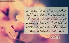Haalim Quotes From Novels Jokes Quotes Zindagi Quotes