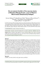 Image result for Disperis kilimanjarica