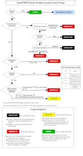 Startpediatrictriagealgorithm In 2021 Emergency Nursing Emt Study Pediatrics
