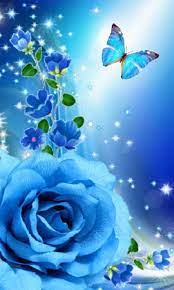 1920x1080 best hd wallpapers of flowers, full hd, hdtv, fhd, 1080p desktop backgrounds for pc & mac, laptop, tablet, mobile phone. Wallpaper By Artist Unknown Blue Roses Wallpaper Butterfly Wallpaper Butterfly Wallpaper Iphone
