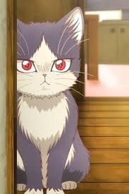 Doukyonin Wa Hiza Is Freaking Cute Anime Shelter Anime Animals Anime Wallpaper Anime