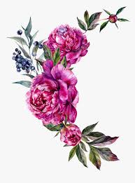 Are you searching for pink peony png images or vector? Floral Vector Peony Free Pink Peony Vector Hd Png Download Kindpng