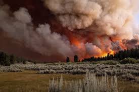 The department is operated by the government of the city of mount…. Fire Generates Own Lightning As It More Than Doubles In Size Los Angeles Times