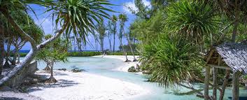 Vanuatu 2030 charts the country's vision and overarching policy framework for achieving a stable the vanuatu immigration and passport services has a range of forms for different passport and visa. A Beginner S Guide To Vanuatu Brisbane Airport