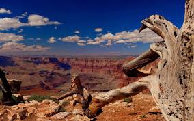 Grand Canyon Wallpapers 1440x900 Desktop Backgrounds