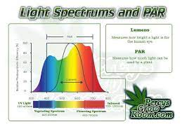 Check spelling or type a new query. Grow Lighting Par What Does Par Mean Percys Grow Room