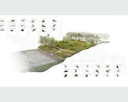 Group C 12 This Diagram Reveals The Distribution Of Animals Landscape Architecture Design Landscape Diagram Landscape Architecture Drawing