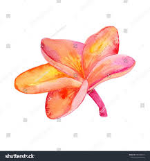 Pin On Watercolor Clipart Aquarel Designs