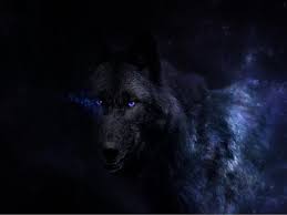 Multiple sizes available for all screen sizes. Black Wolf Wallpaper